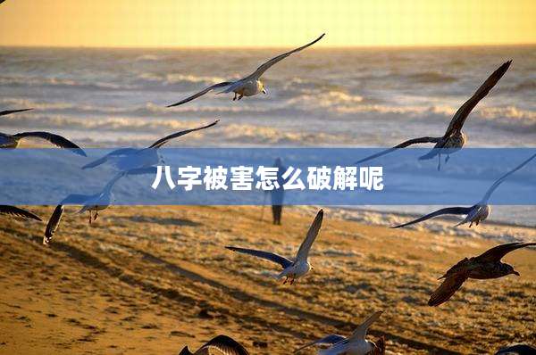 八字被害怎么破解呢