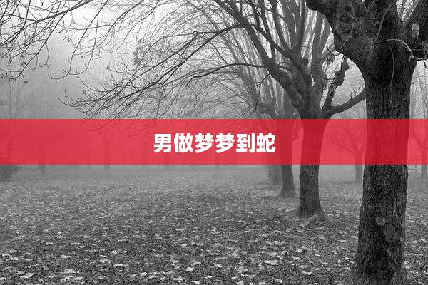 男做梦梦到蛇