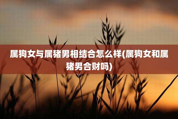 属狗女与属猪男相结合怎么样(属狗女和属猪男合财吗)