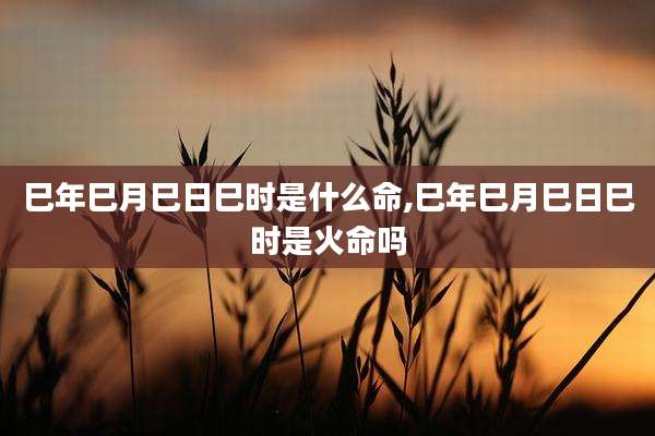 巳年巳月巳日巳时是什么命,巳年巳月巳日巳时是火命吗
