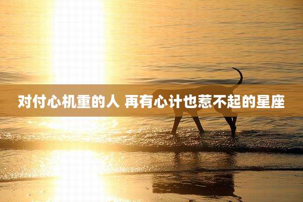 对付心机重的人 再有心计也惹不起的星座