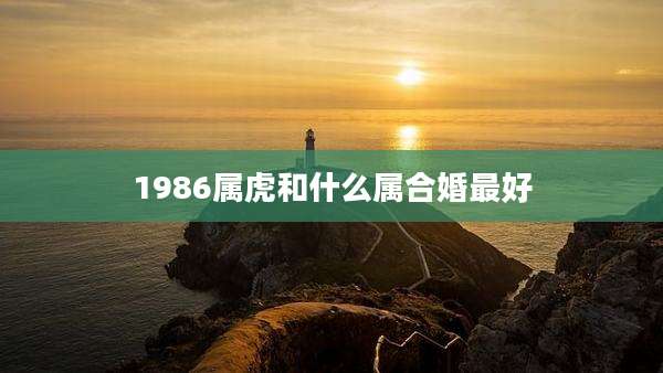 1986属虎和什么属合婚最好
