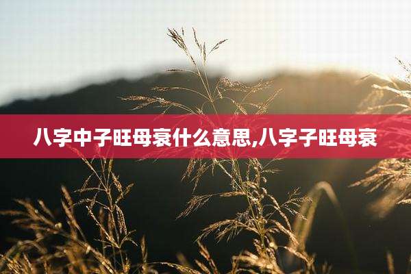 八字中子旺母衰什么意思,八字子旺母衰