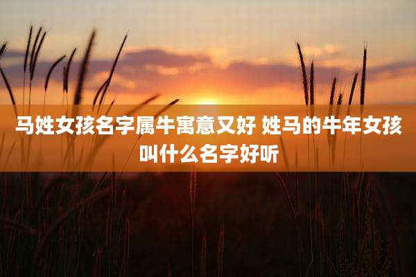 马姓女孩名字属牛寓意又好 姓马的牛年女孩叫什么名字好听