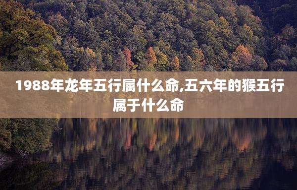 1988年龙年五行属什么命,五六年的猴五行属于什么命
