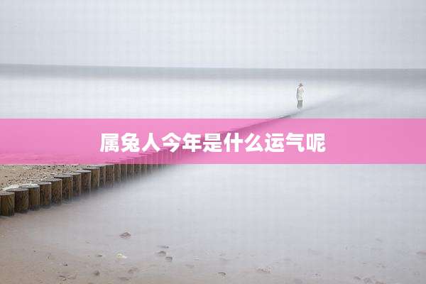 属兔人今年是什么运气呢