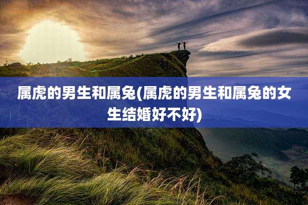 属虎的男生和属兔(属虎的男生和属兔的女生结婚好不好)