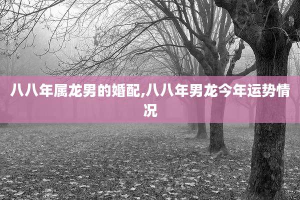 八八年属龙男的婚配,八八年男龙今年运势情况