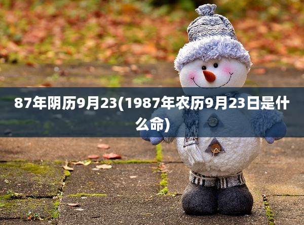 87年阴历9月23(1987年农历9月23日是什么命)