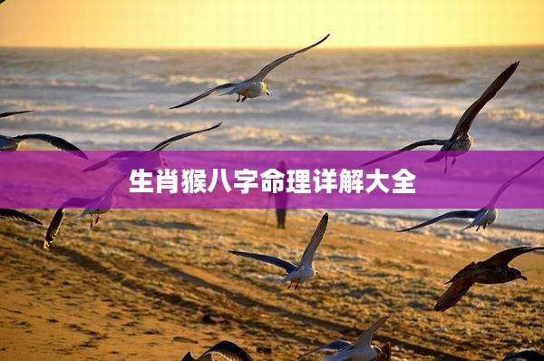 生肖猴八字命理详解大全