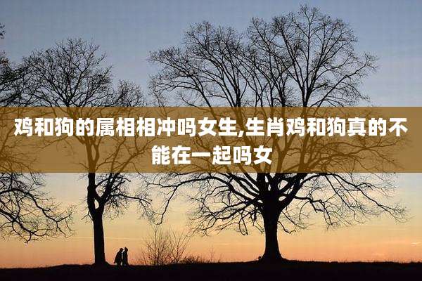 鸡和狗的属相相冲吗女生,生肖鸡和狗真的不能在一起吗女