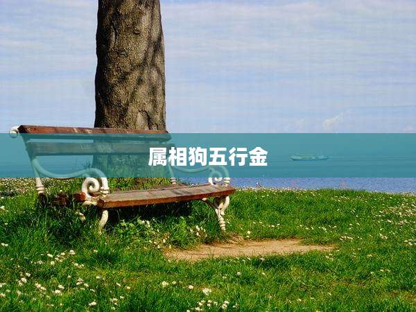 属相狗五行金