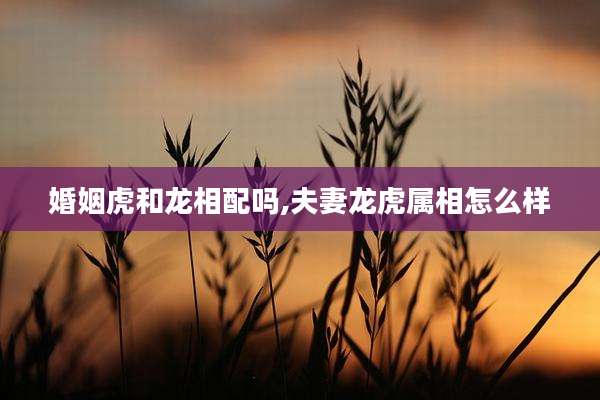 婚姻虎和龙相配吗,夫妻龙虎属相怎么样