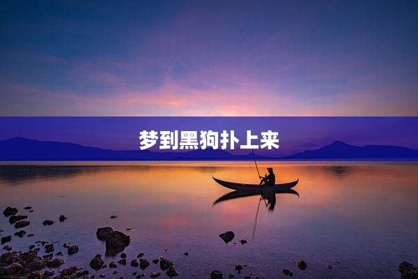 梦到黑狗扑上来