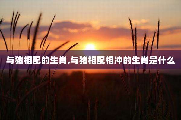 与猪相配的生肖,与猪相配相冲的生肖是什么