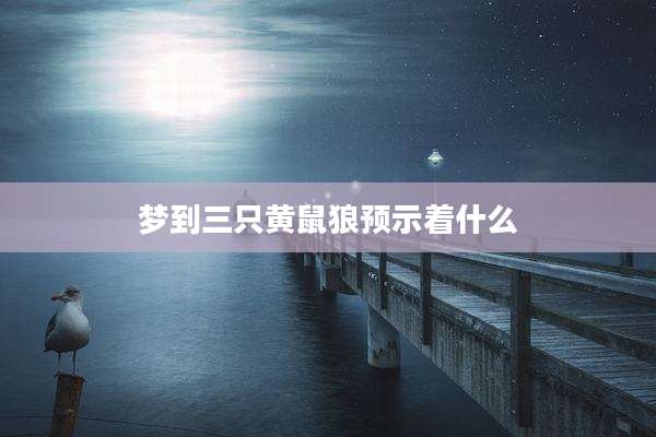 梦到三只黄鼠狼预示着什么
