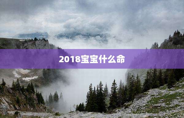 2018宝宝什么命