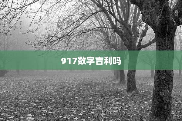917数字吉利吗