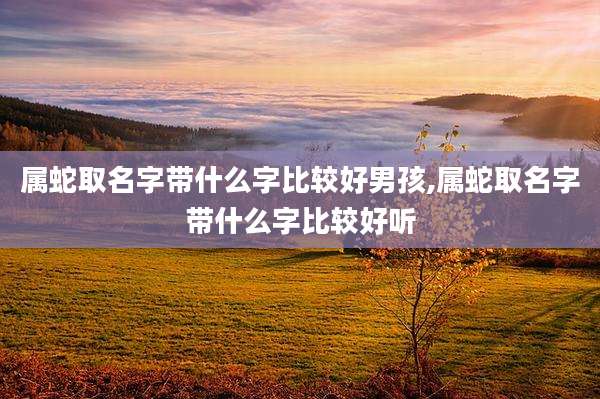 属蛇取名字带什么字比较好男孩,属蛇取名字带什么字比较好听