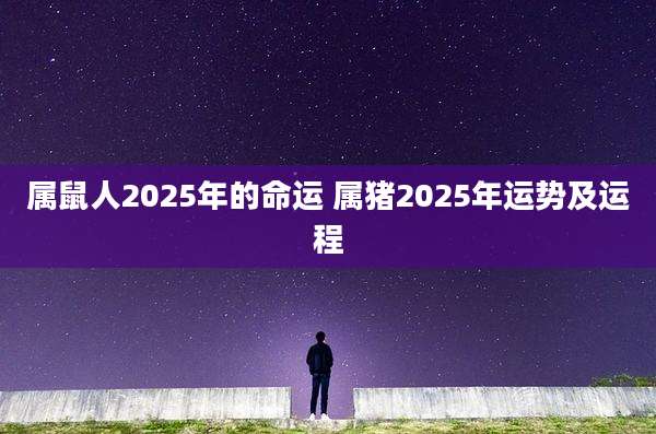 属鼠人2025年的命运 属猪2025年运势及运程