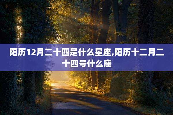 阳历12月二十四是什么星座,阳历十二月二十四号什么座
