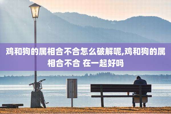 鸡和狗的属相合不合怎么破解呢,鸡和狗的属相合不合 在一起好吗