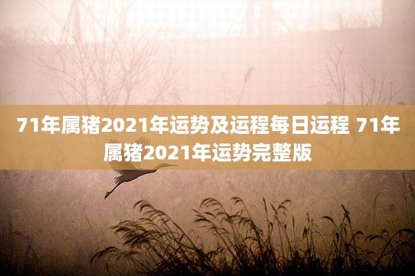 71年属猪2021年运势及运程每日运程 71年属猪2021年运势完整版
