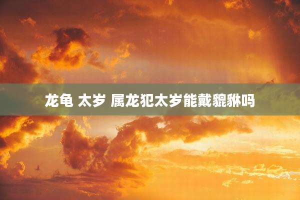 龙龟 太岁 属龙犯太岁能戴貔貅吗
