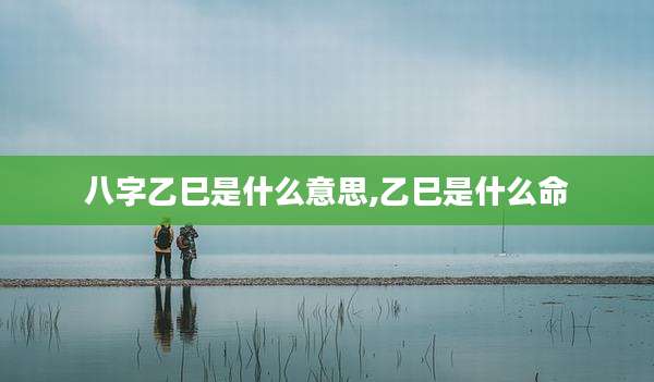八字乙巳是什么意思,乙巳是什么命