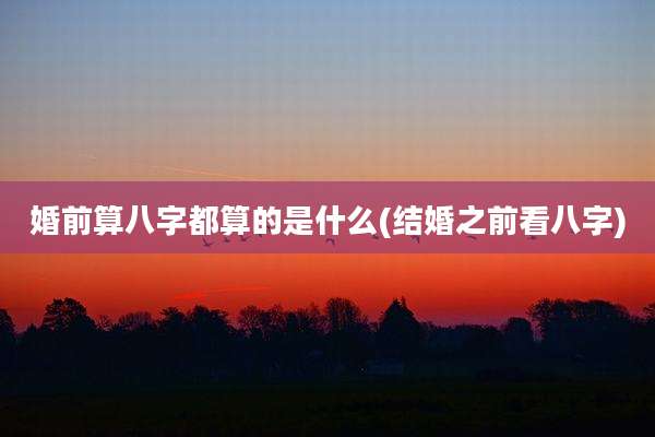 婚前算八字都算的是什么(结婚之前看八字)