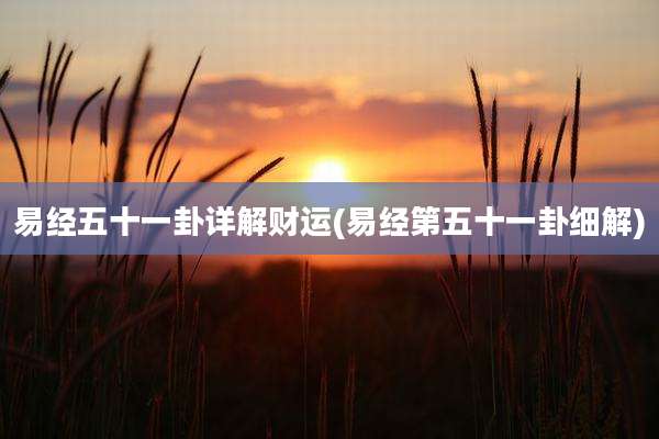 易经五十一卦详解财运(易经第五十一卦细解)