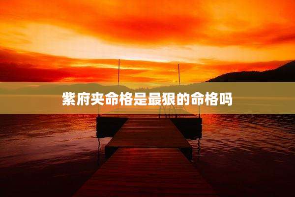 紫府夹命格是最狠的命格吗