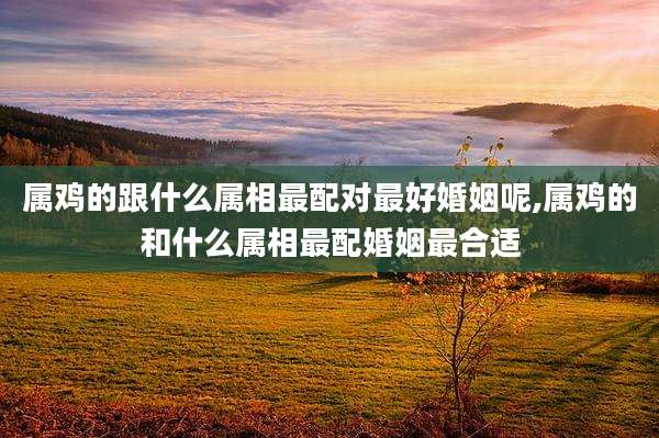 属鸡的跟什么属相最配对最好婚姻呢,属鸡的和什么属相最配婚姻最合适