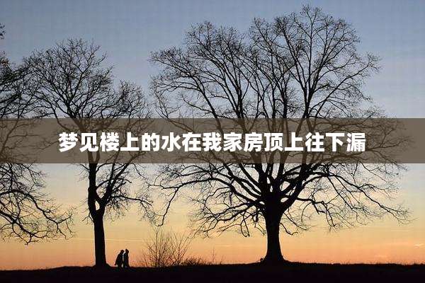 梦见楼上的水在我家房顶上往下漏