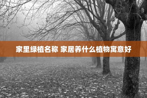 家里绿植名称 家居养什么植物寓意好