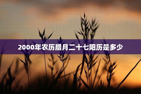 2000年农历腊月二十七阳历是多少