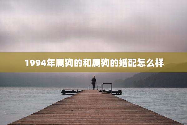 1994年属狗的和属狗的婚配怎么样