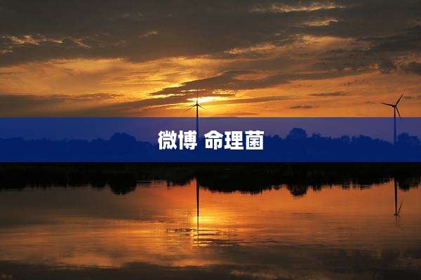 微博 命理菌