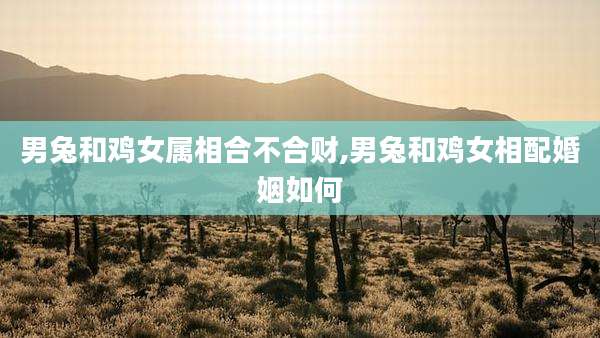 男兔和鸡女属相合不合财,男兔和鸡女相配婚姻如何