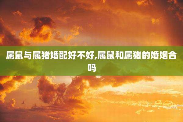 属鼠与属猪婚配好不好,属鼠和属猪的婚姻合吗