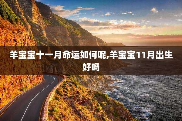 羊宝宝十一月命运如何呢,羊宝宝11月出生好吗