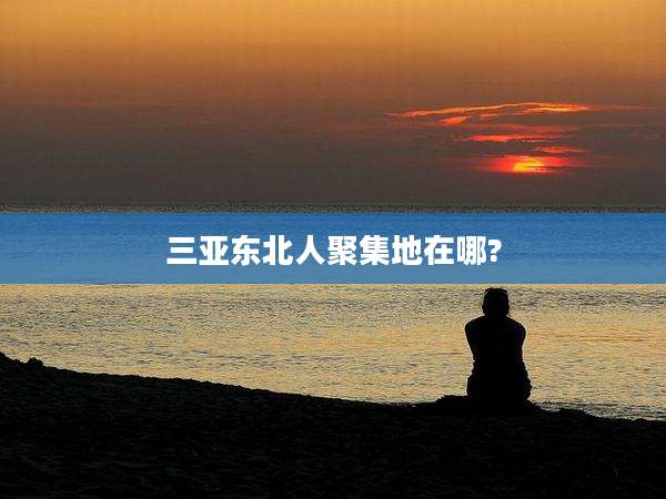 三亚东北人聚集地在哪?