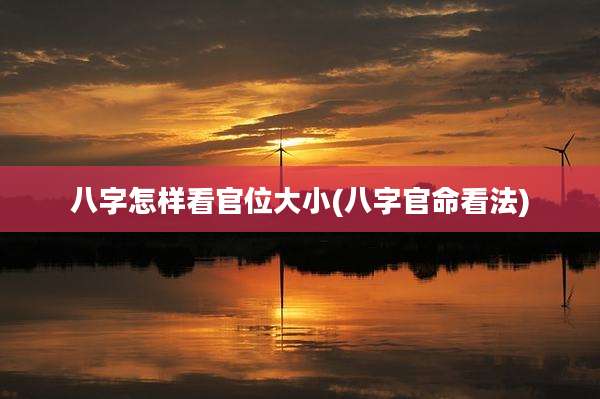 八字怎样看官位大小(八字官命看法)