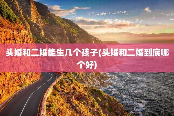 头婚和二婚能生几个孩子(头婚和二婚到底哪个好)