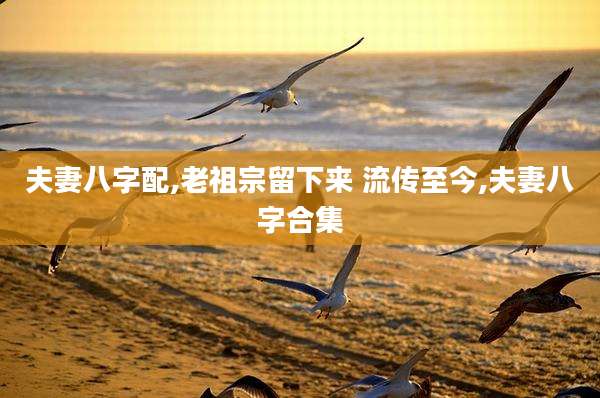 夫妻八字配,老祖宗留下来 流传至今,夫妻八字合集