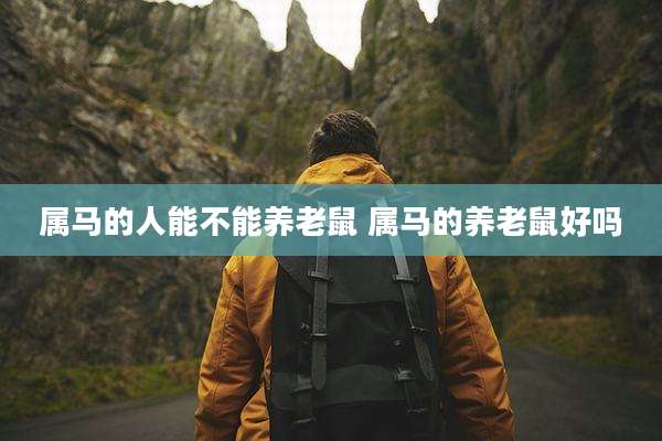 属马的人能不能养老鼠 属马的养老鼠好吗