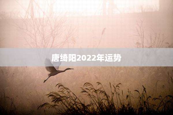 唐绮阳2022年运势