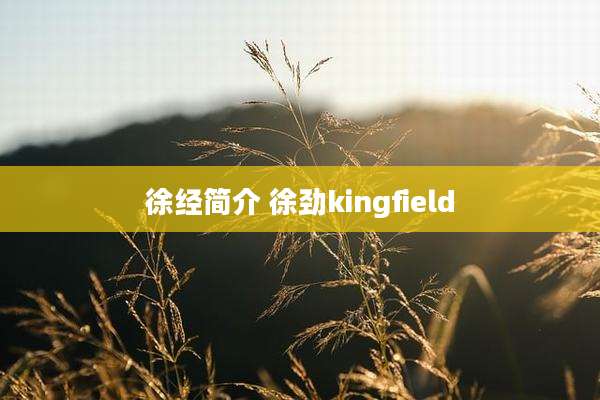 徐经简介 徐劲kingfield