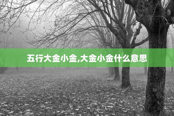 五行大金小金,大金小金什么意思