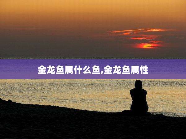 金龙鱼属什么鱼,金龙鱼属性